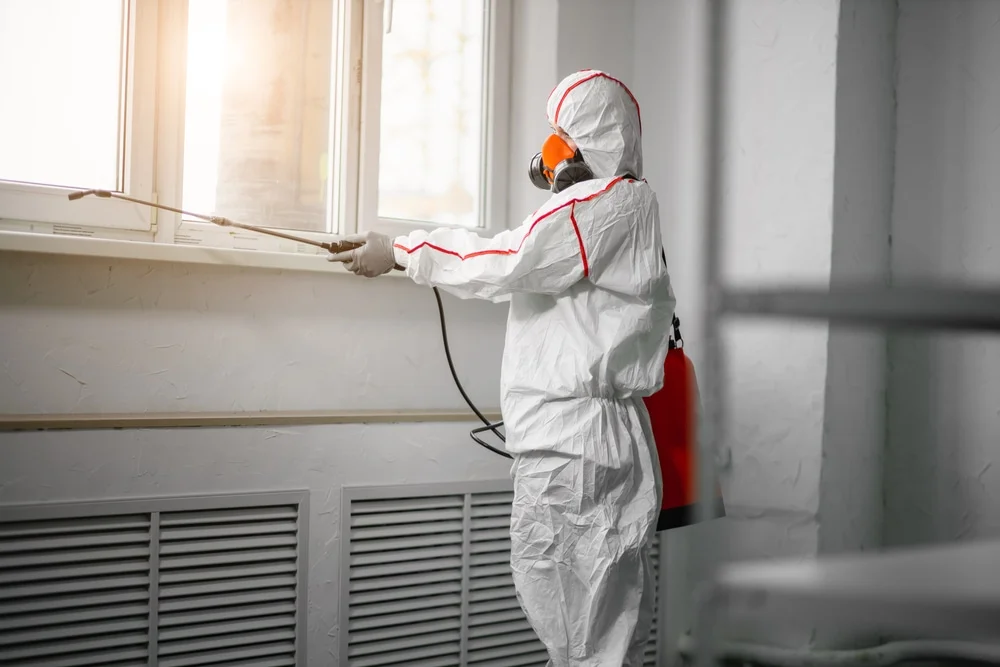 Professional mold remediation services in Wilton, NH